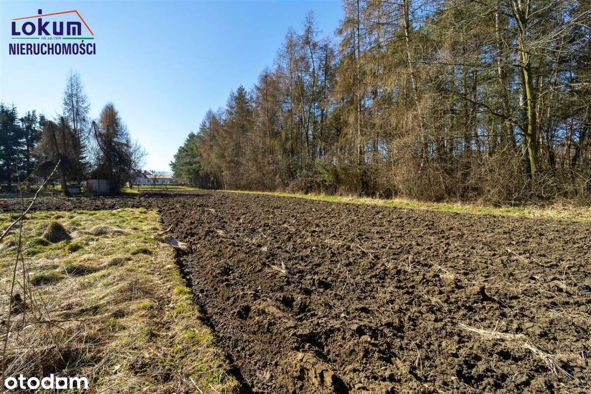 Kiczyce - działka blisko Skoczowa - Pełny obrazek: 4/14