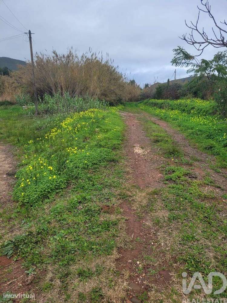 Terreno em Silves - Grande imagem: 2/6