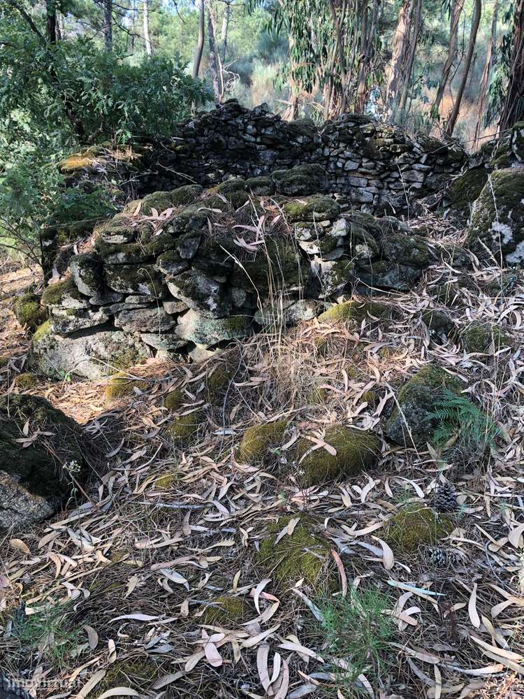 Excelente Quinta na Beira Alta com cerca de 2 Hectares-12