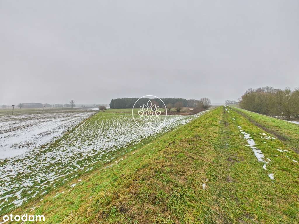 Gospodarstwo Pędzewo-18