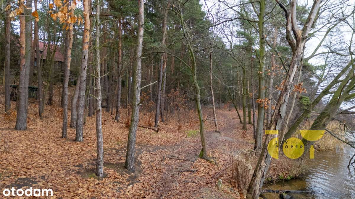 Działka w 1 linii od wody nad Narwią obok Zegrza - Pełny obrazek: 4/9