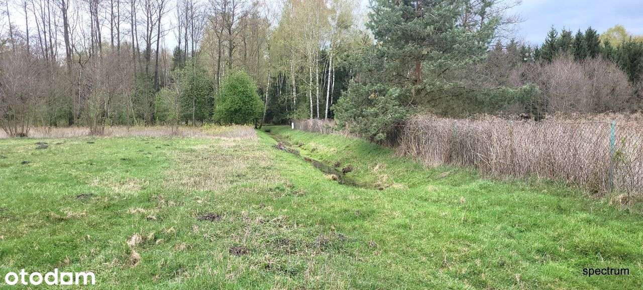 Urokliwa Działka w Otoczeniu Lasów i Jezior - Pełny obrazek: 4/6