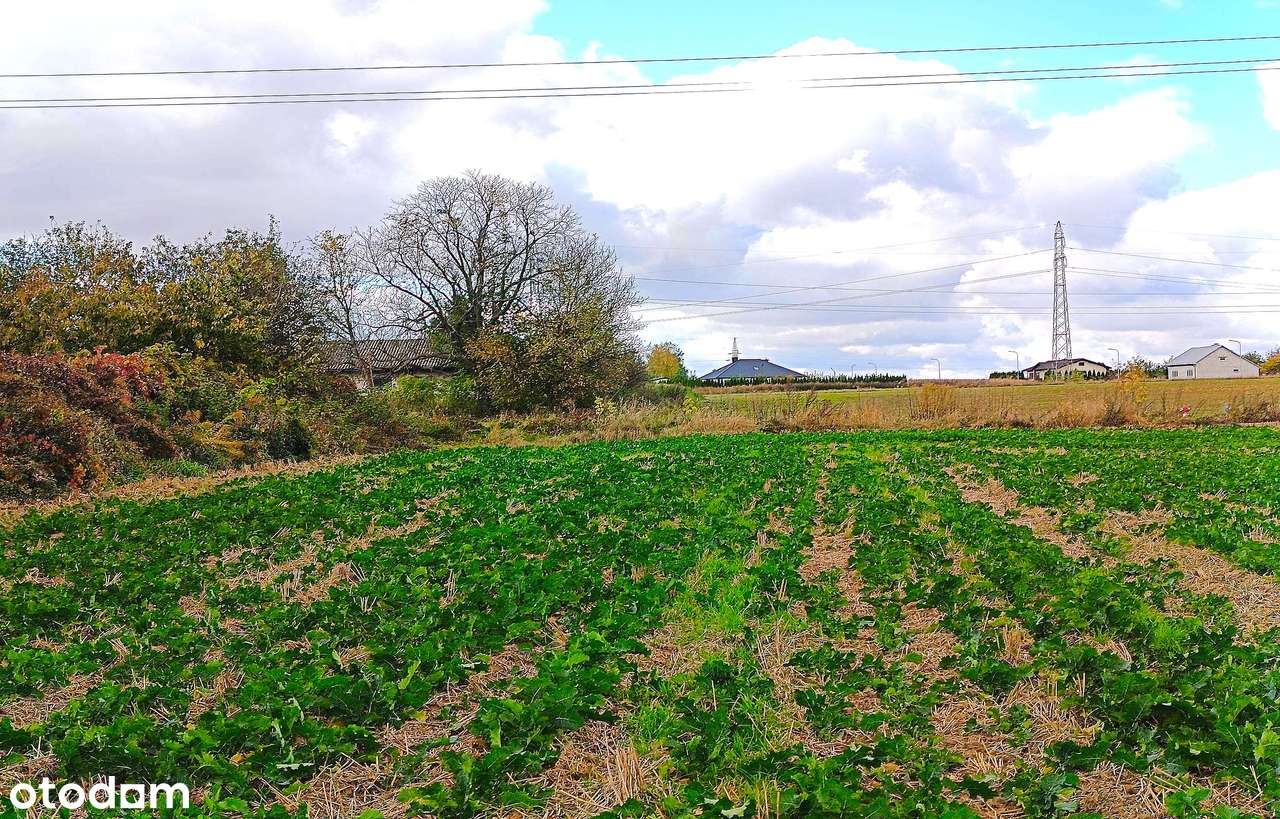 Działki budowlane Płoskie-2