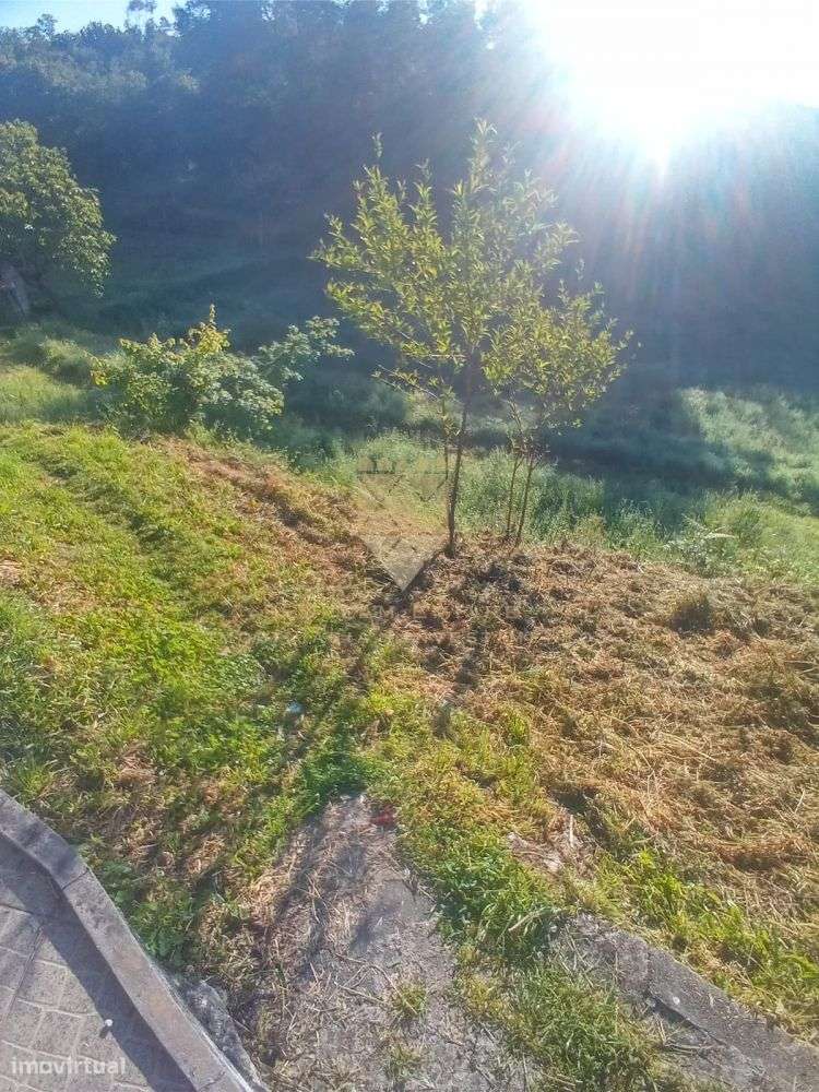 Terreno com 2.000 m² – Localização Privilegiada em Recarei - Grande imagem: 4/5