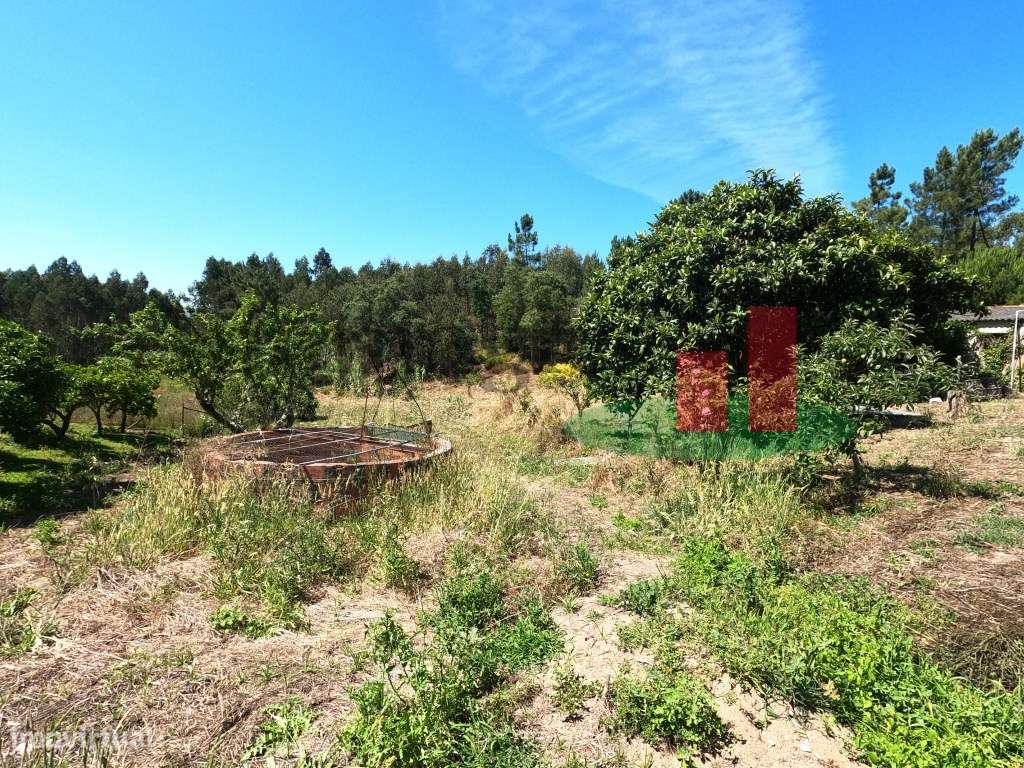 Quinta Rural - Rio Maior ***RIOMAGIC*** - Grande imagem: 5/60