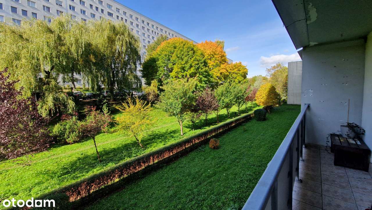 Rezerwacja 2x2! ul. Wielkopolska 1 piętro-13