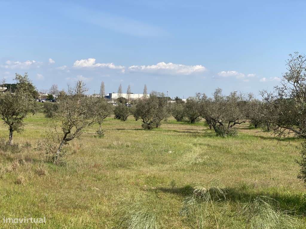 Terreno urbanizável para 6 lotes em Aires - 15.000 m2-7