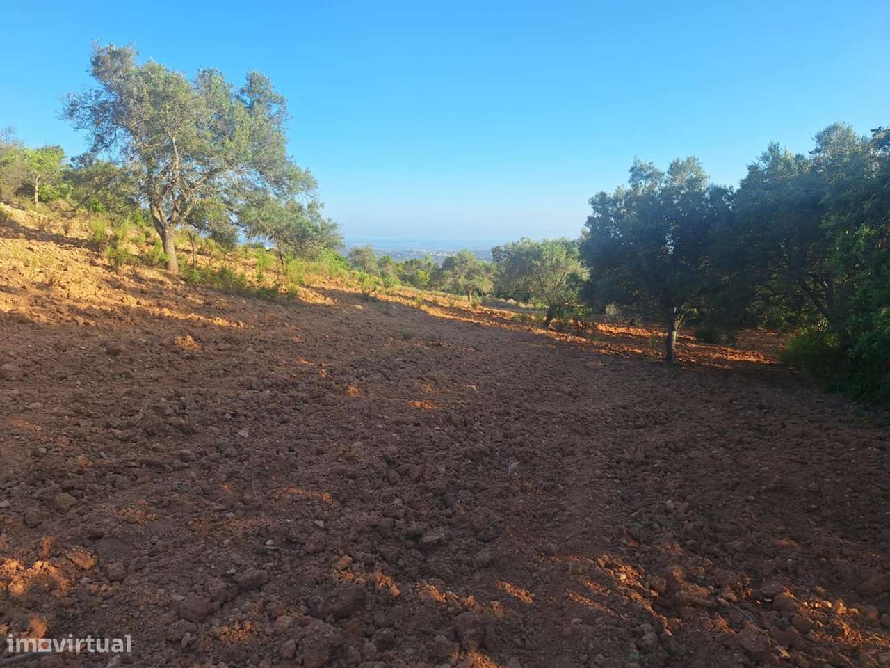 Terreno Rústico a 10km de Estoi-23