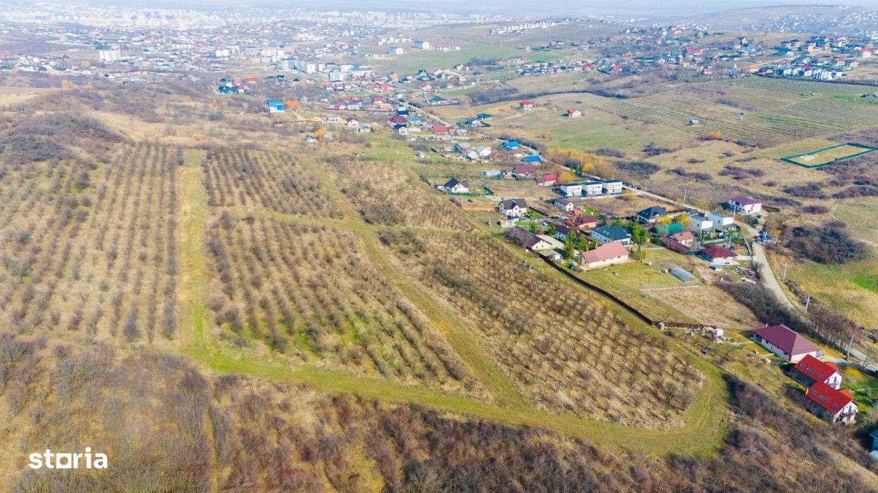 Vanzare Teren Intravilan 25.000 mp Visani Sf. Ilie PUZ Case/Bloc - Imagine principală: 1/5