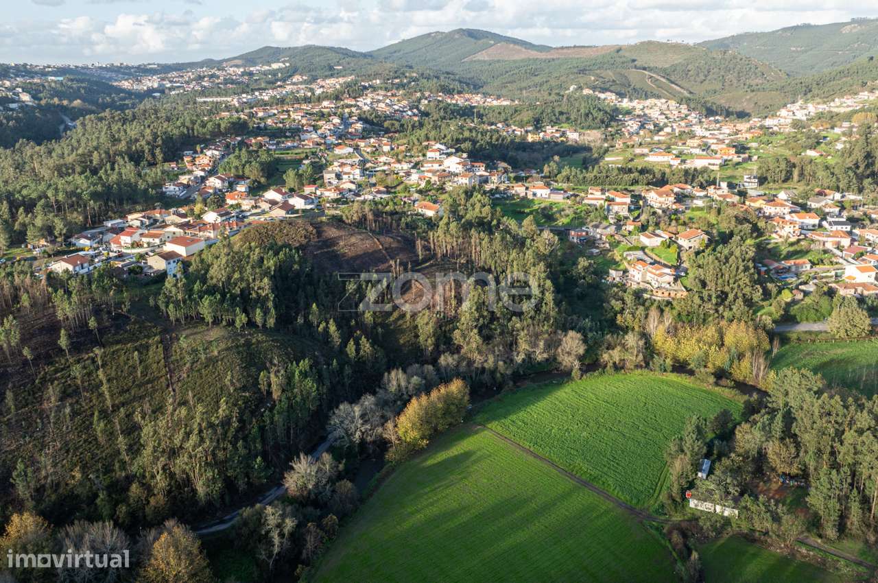 Terreno Florestal - Grande imagem: 4/16