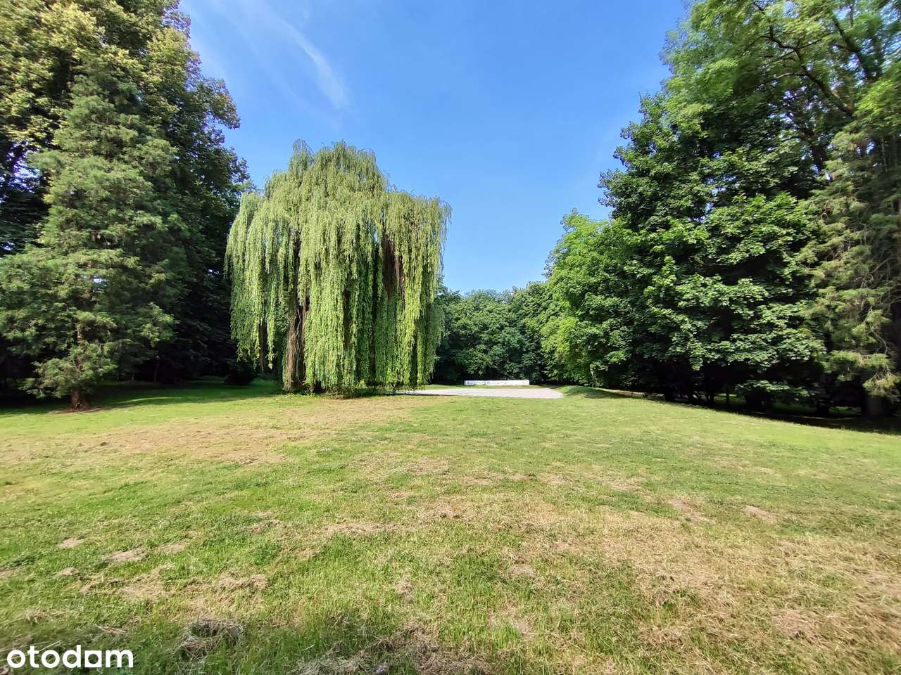 Pałac wraz z parkiem o powierzchni 9ha-11