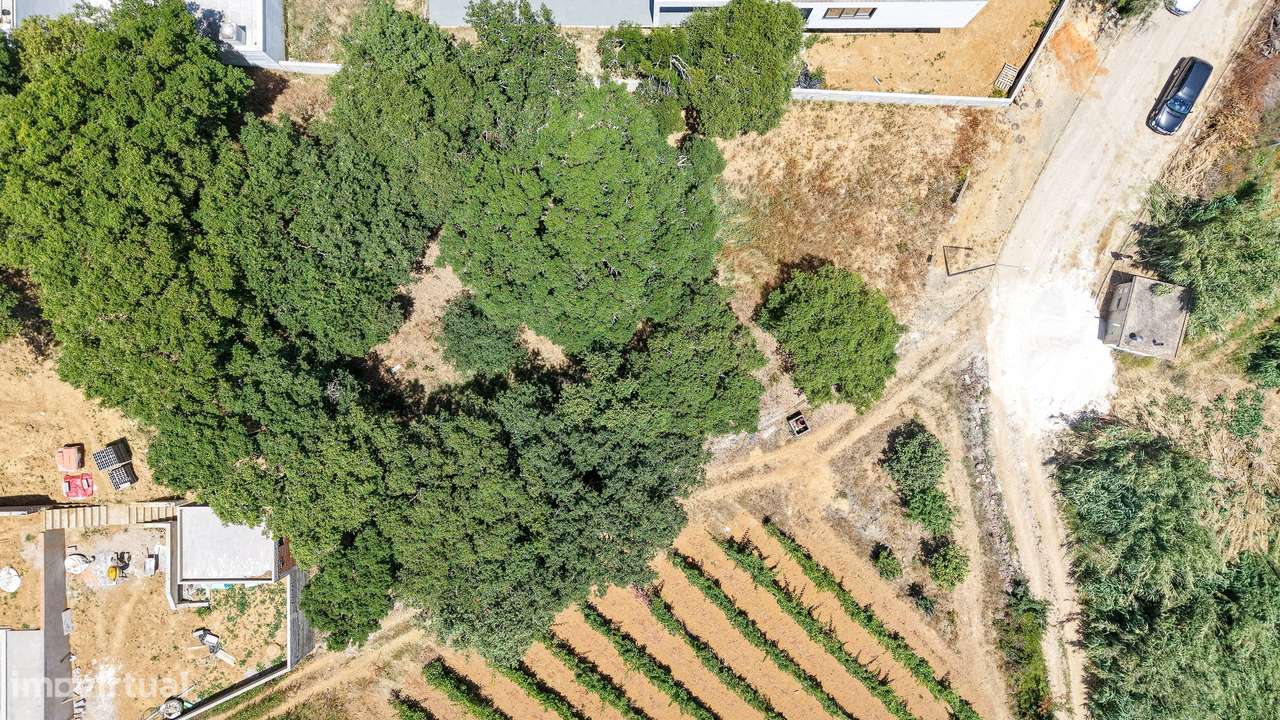 Terreno com projecto aprovado para construção de moradia, Mafra-13