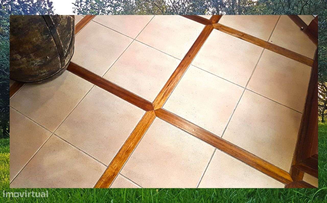 Quintinha com Mata secular-42