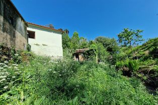 Moradia com Moinho e Cascata e Terreno de 1740m2 a 10 min de Estarreja