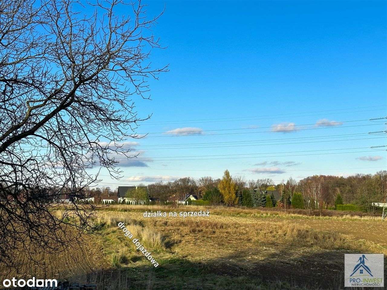 Przestrzeń, widok na góry i bdb dojazd - Bielsko-15