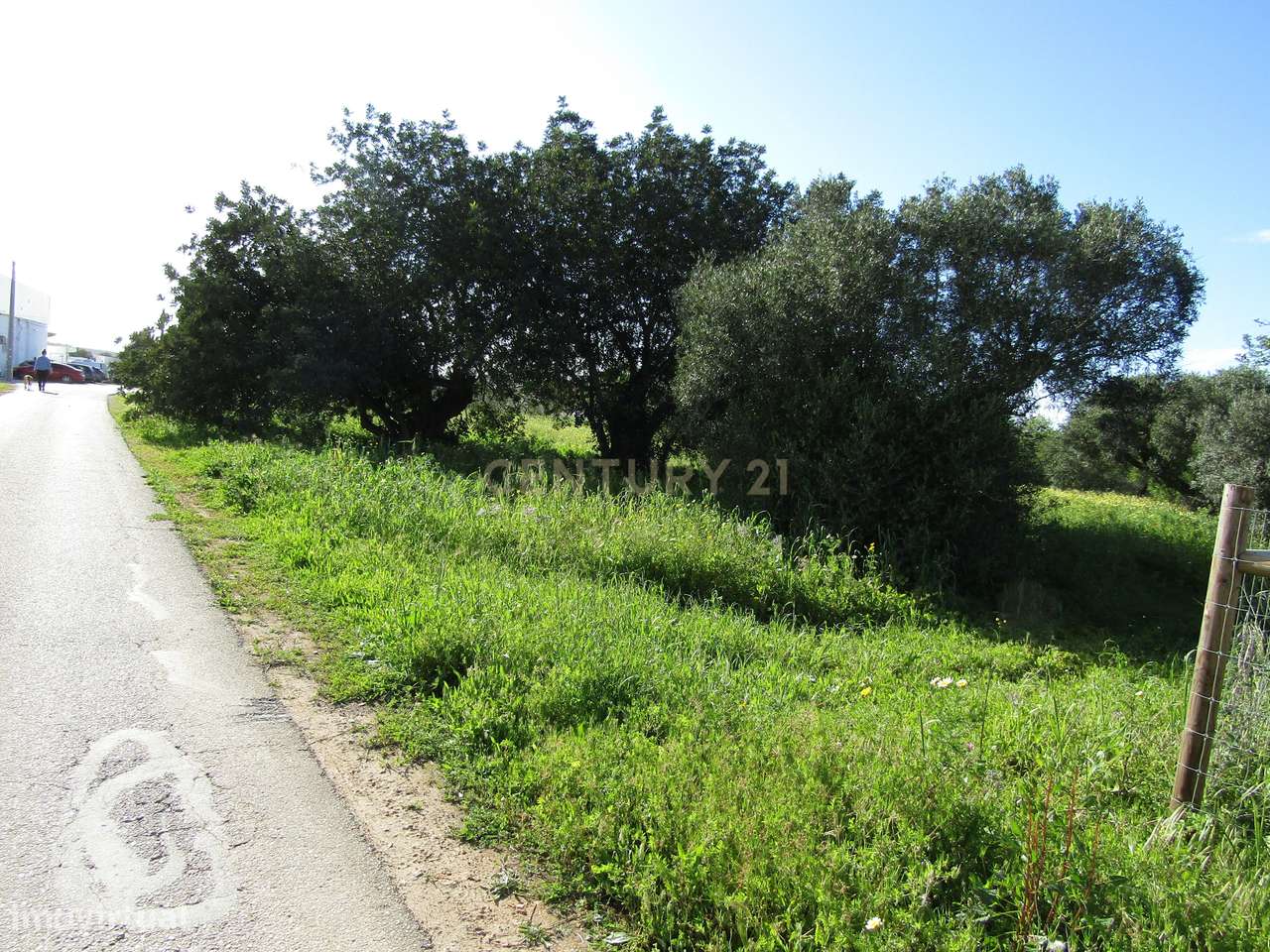 Terreno para Construção - Grande imagem: 5/9