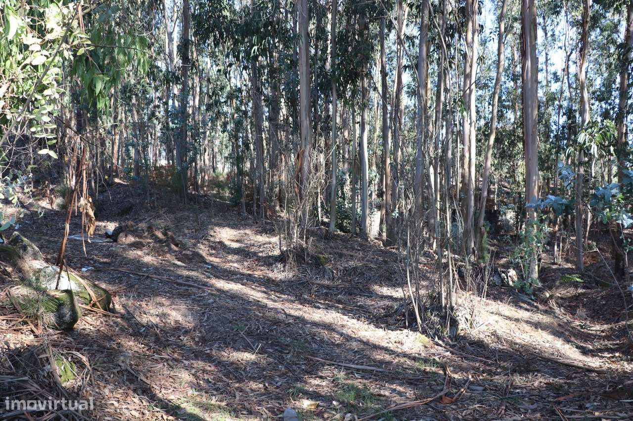 Lote Industrial  Venda em Lordelo,Paredes-11