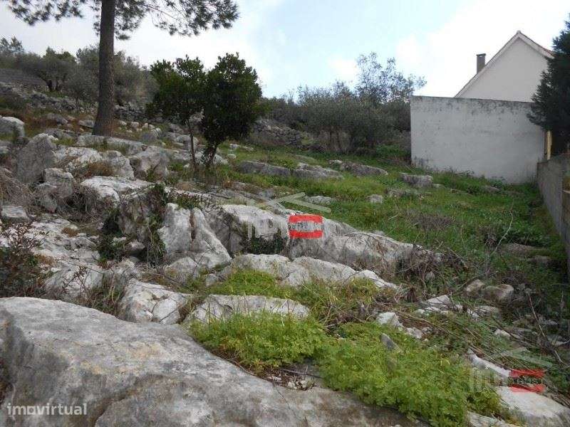 Terreno - Grande imagem: 4/8