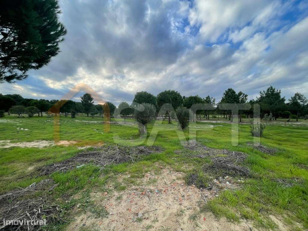 Quinta com duas moradias por recuperar em Grândola - Grande imagem: 5/10