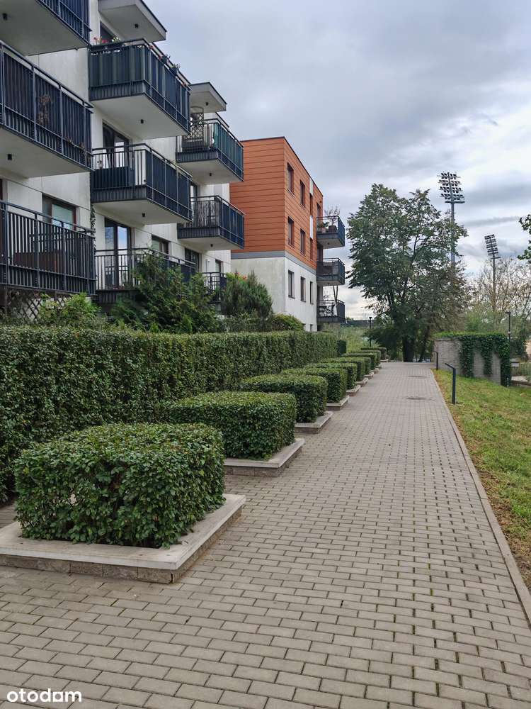 Dostępne od ręki , z dwoma ogrodami-18