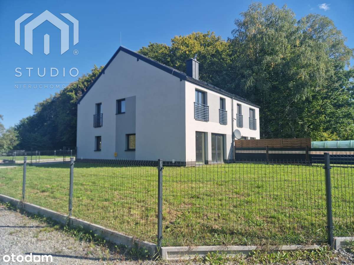 3 ostatnie bliźniaki !!! - Pełny obrazek: 2/20