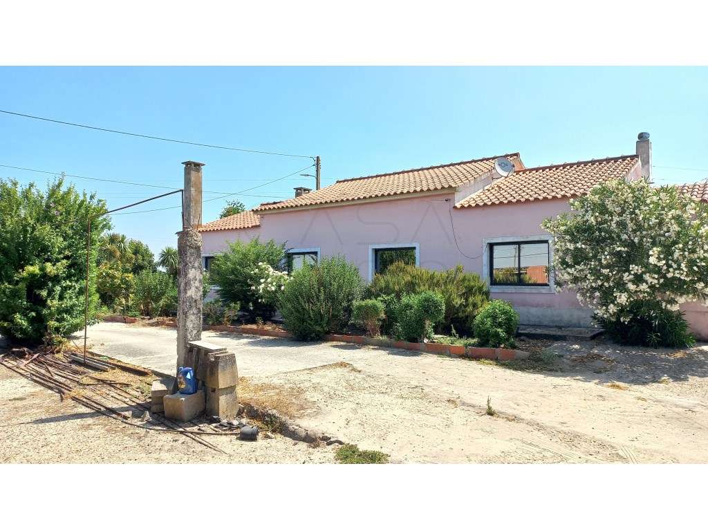 Herdade vinhateira próxima de Setúbal-19