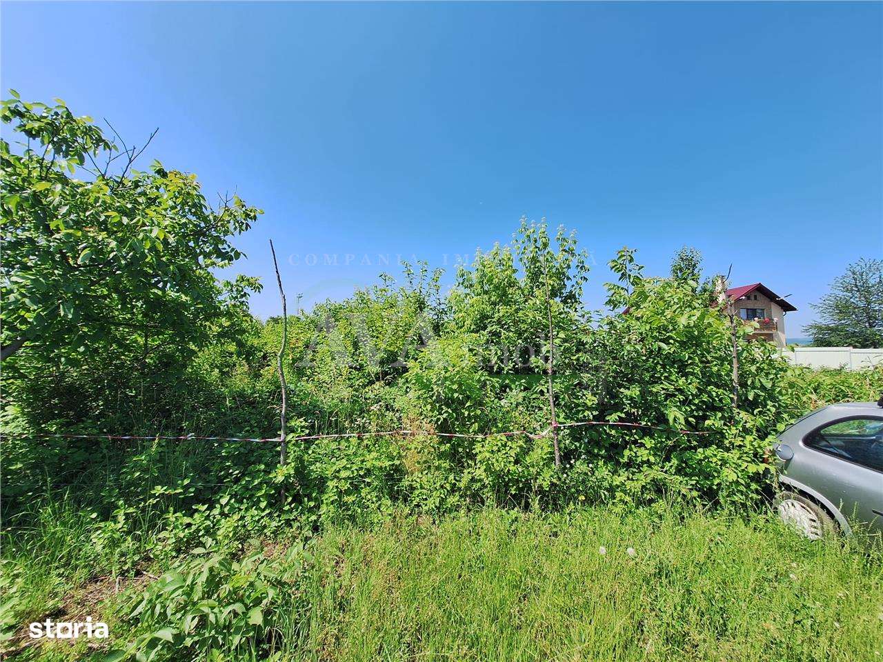 Teren 850 mp  zona Lidl Narcisa - Imagine principală: 3/3