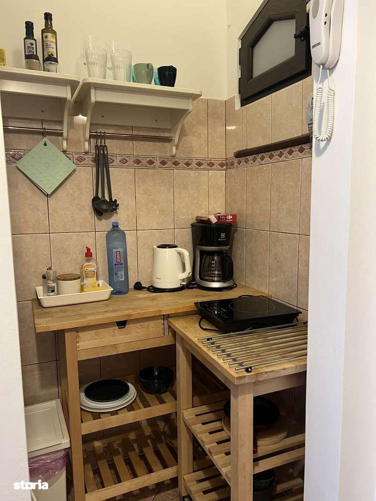 Vand Studio mobilat, Parcul Cismigiu - Imagine principală: 5/10