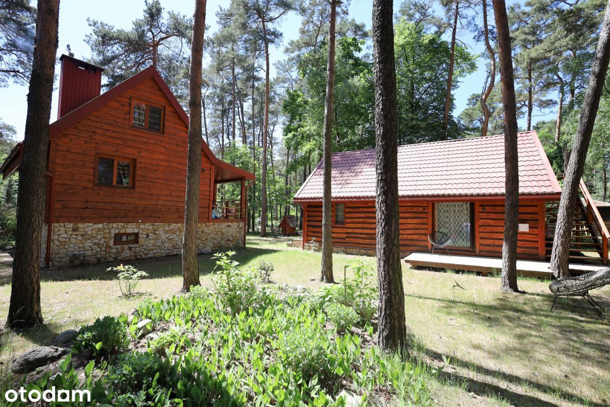 Dwa domy na dużej działce w leśnej otulinie