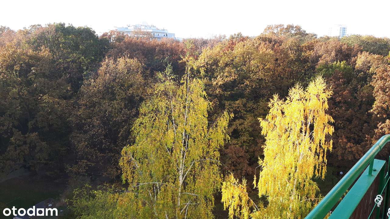 Jasne 2-pokojowe do wprowadzenia (balkon, klimatyzacja, metro, park) - Pełny obrazek: 2/20