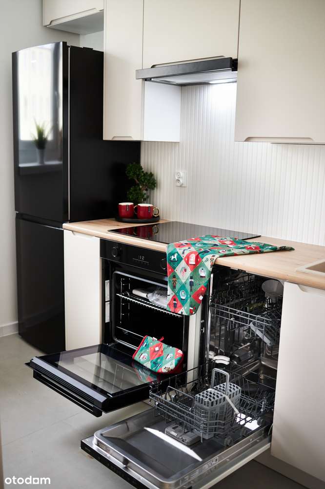 3 pokojowy Apartament 100 m od Parku po generalnym remoncie 2 piętro-19