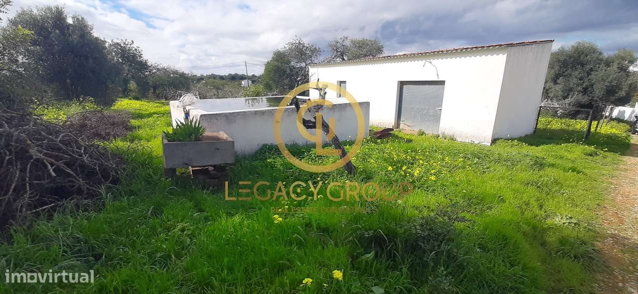 Terreno Barrocal - Altura - Castro Marim - Grande imagem: 4/22