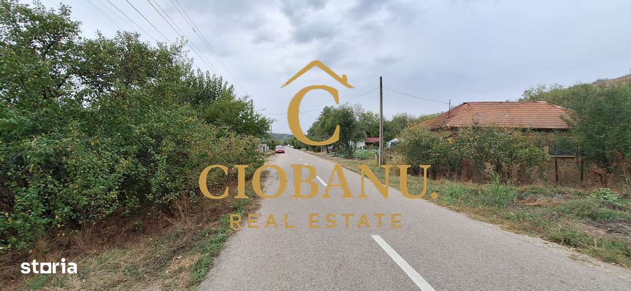 Teren Intravilan/Extravilan de vanzare in Bradestii Batrani-7