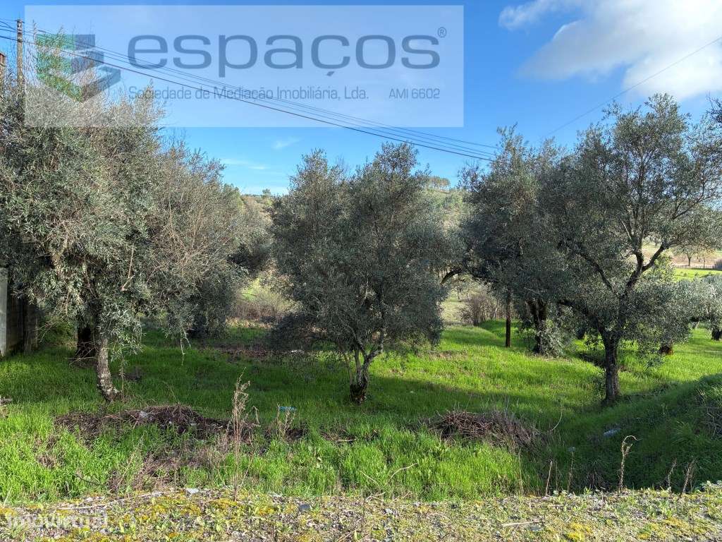 Terreno Urbano - Grande imagem: 3/14