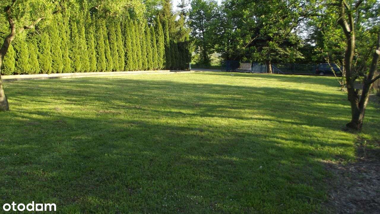 Działka + dom + budynek pod działalność - Pełny obrazek: 1/20