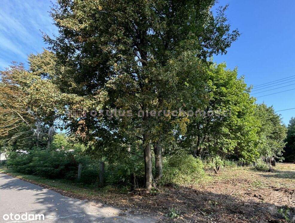 Działki w Anielinie – 14 ha z potencjałem-6