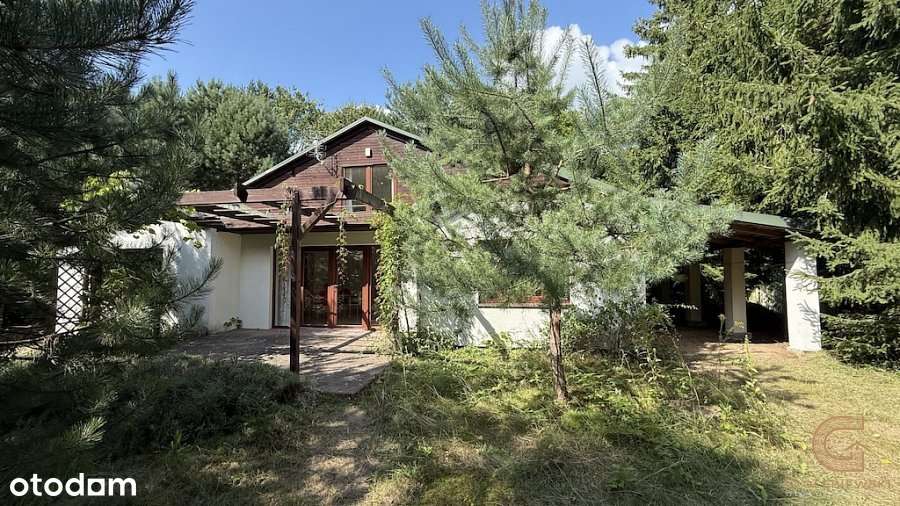 Dom rekreacyjny nad jeziorem - Cekcyn, Huta - Pełny obrazek: 3/20