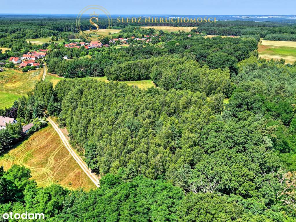 1,2 ha Działka Budowlana 45 min od Wrocławia + Las-16