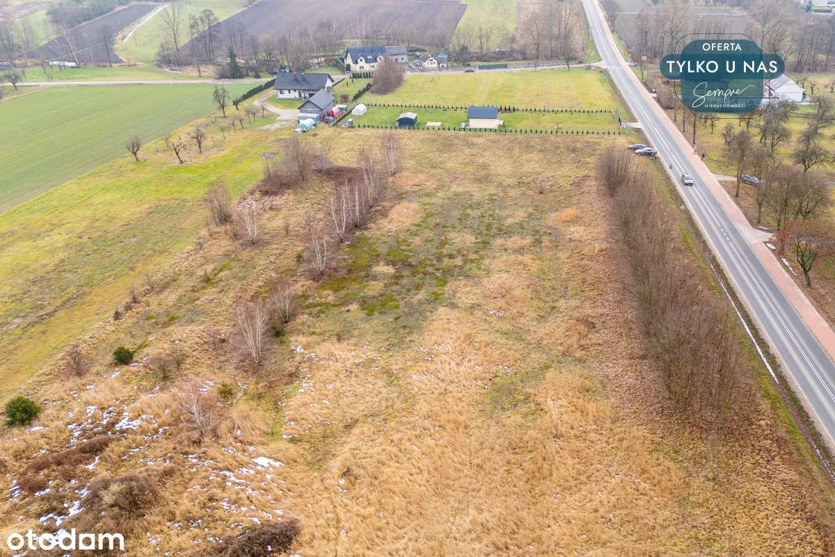 Działka 4000 mkw z warunkami na dwa domy - Pełny obrazek: 5/14