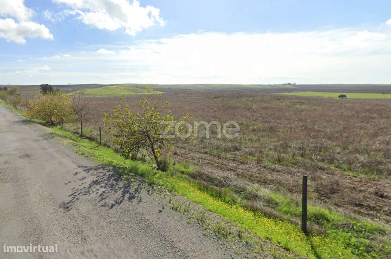 Terreno rustico com pomar - Grande imagem: 3/12