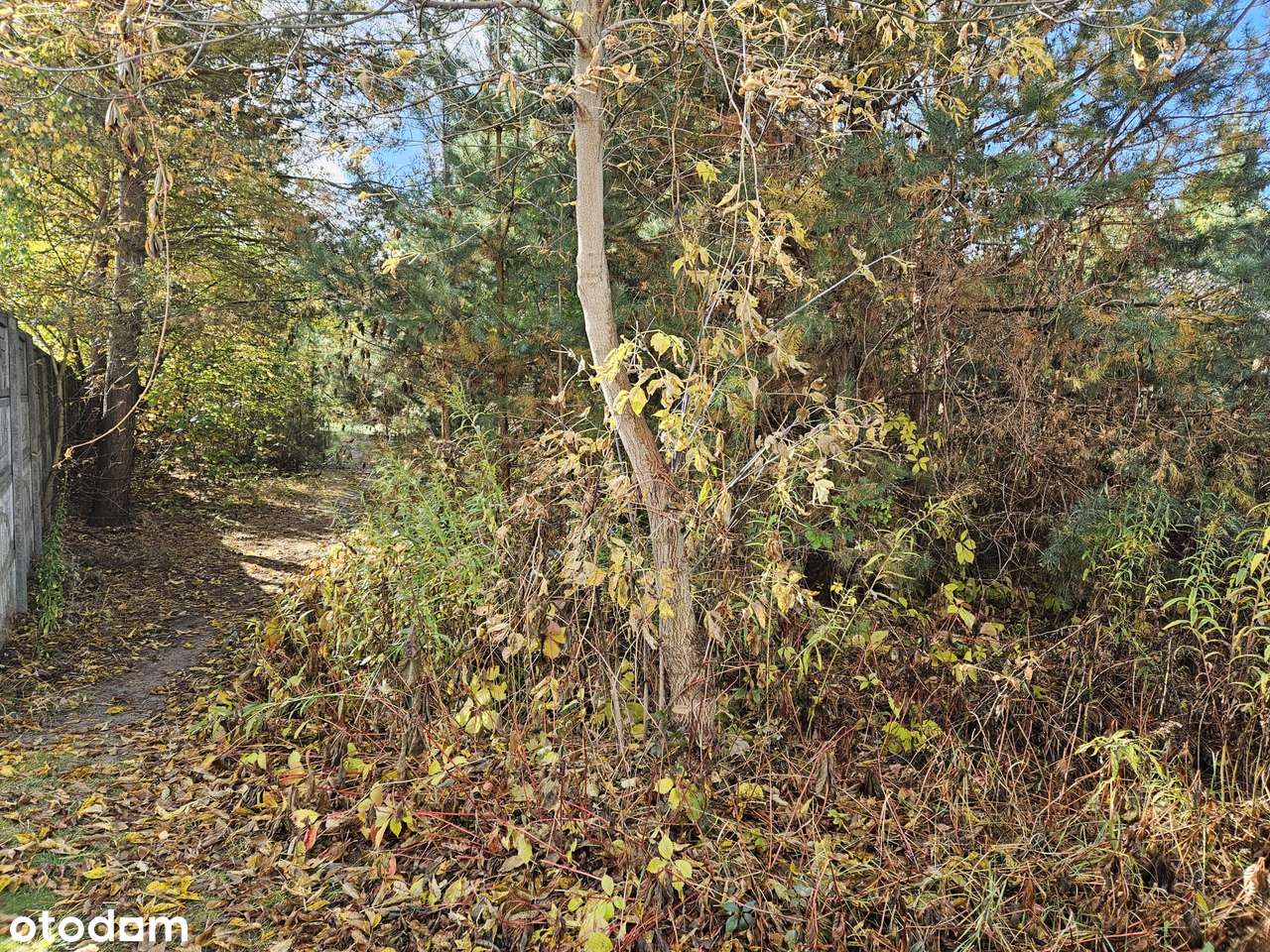 działka budowlana Izabelin Truskaw-3