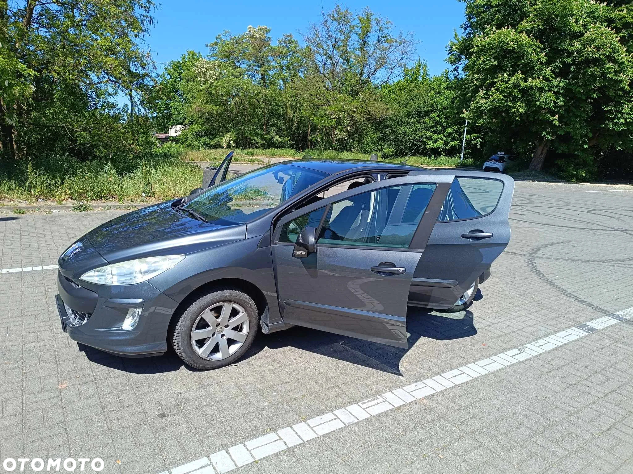 Peugeot 308 - 15