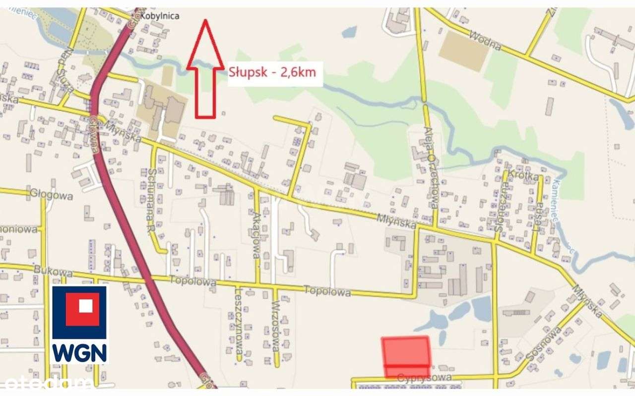 Działka budowlana, 8900m2, Kobylnica-16