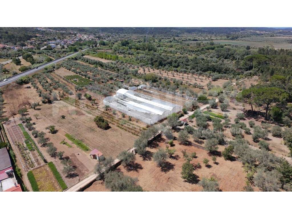 Terreno Agrícola com Estufas Preparadas para Produção em Hidroponia...-22