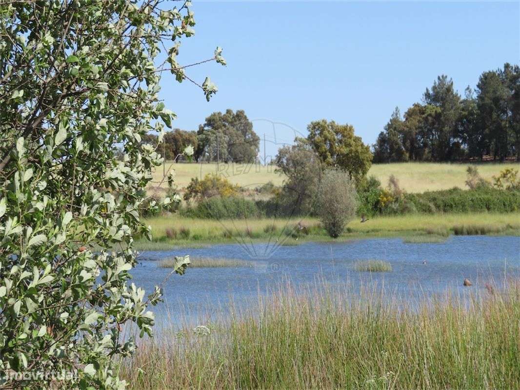 Quinta  para venda - Grande imagem: 2/27