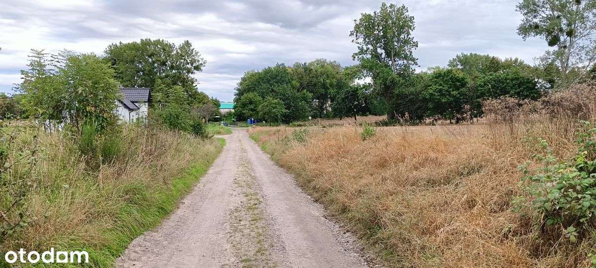 Działka w Wyszecinie k. Luzina z Mpzp-12