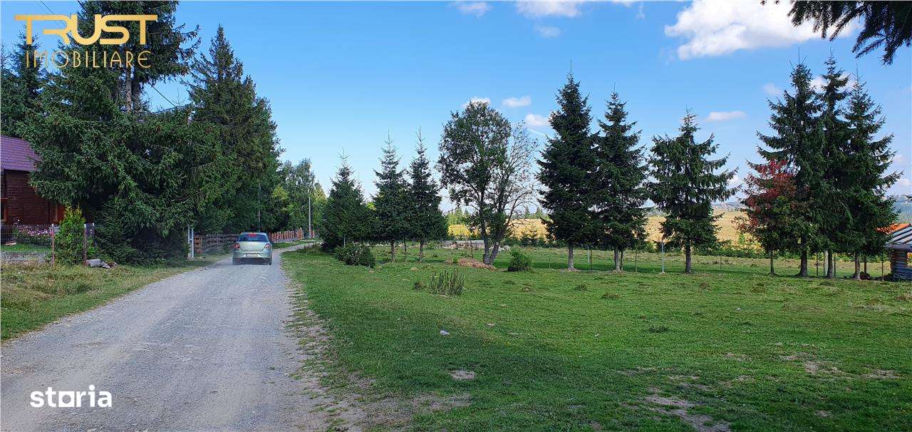 Oportunitare | Teren 1350 mp cu PUZ | Belis-4