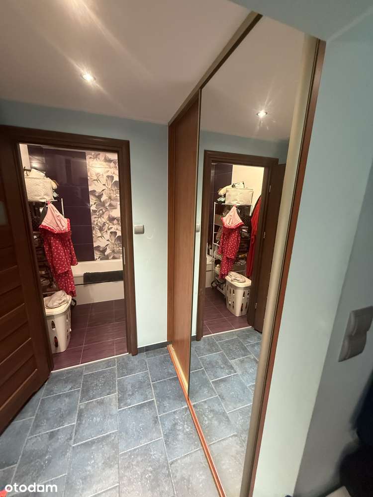 M3 na Widzewie, ul. Gogola , 2 pokoje,kuchnia, balkon, do wprowadzenia - Pełny obrazek: 4/12