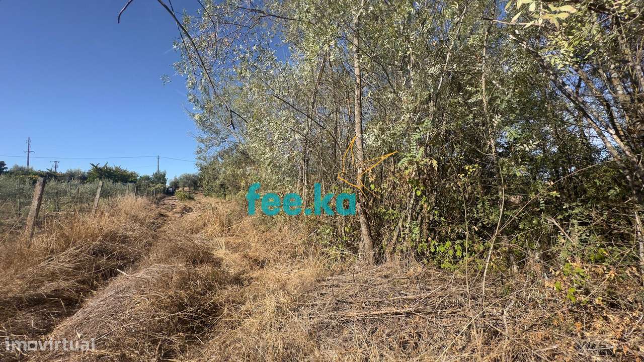 Terreno em Ladoeiro-32