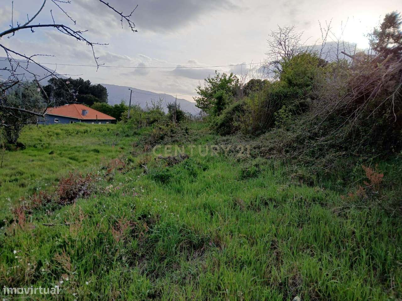 Moradia para recuperação total no Douro - Grande imagem: 5/11